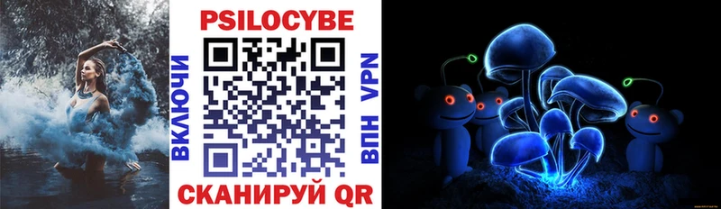 Псилоцибиновые грибы мухоморы  хочу наркоту  Сурск 